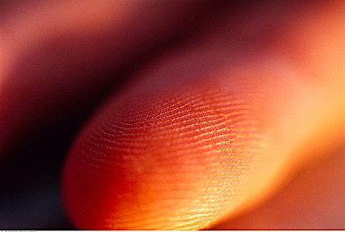 夏日游戏节：《黑神话：悟空》新预告 8月20日发售